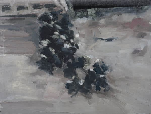 Conor Foy Petri Oil on board 45 x 60 cm