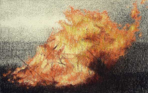 Gareth Reid Bonfire Charcoal & pastel on canvas 22 x 30 cm