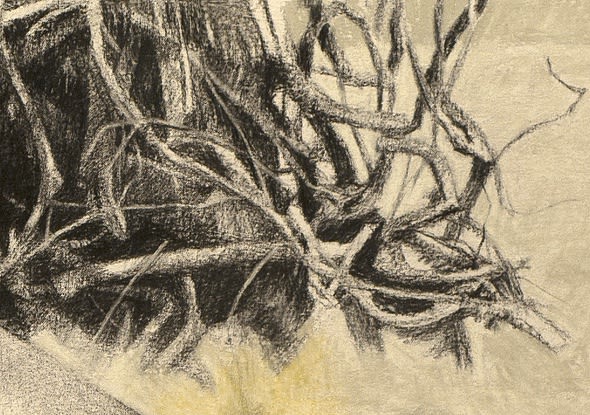 Gareth Reid Woodpile Charcoal & pastel on canvas 22 x 30cm