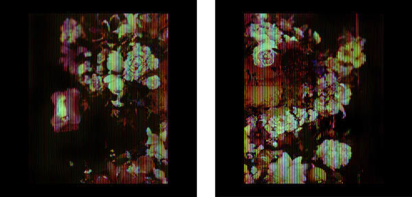 Jean-Baptiste Belin de Fontenay 1705, when Mirabell and Millamant were in double abundance, 2019 (diptych)