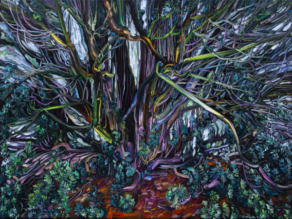 Vera Klute Yew Oil on Linen 75 x 100cm