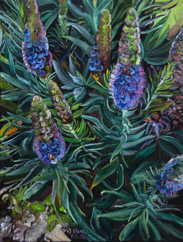 Vera Klute Echium Oil on Linen 45 x 34cm