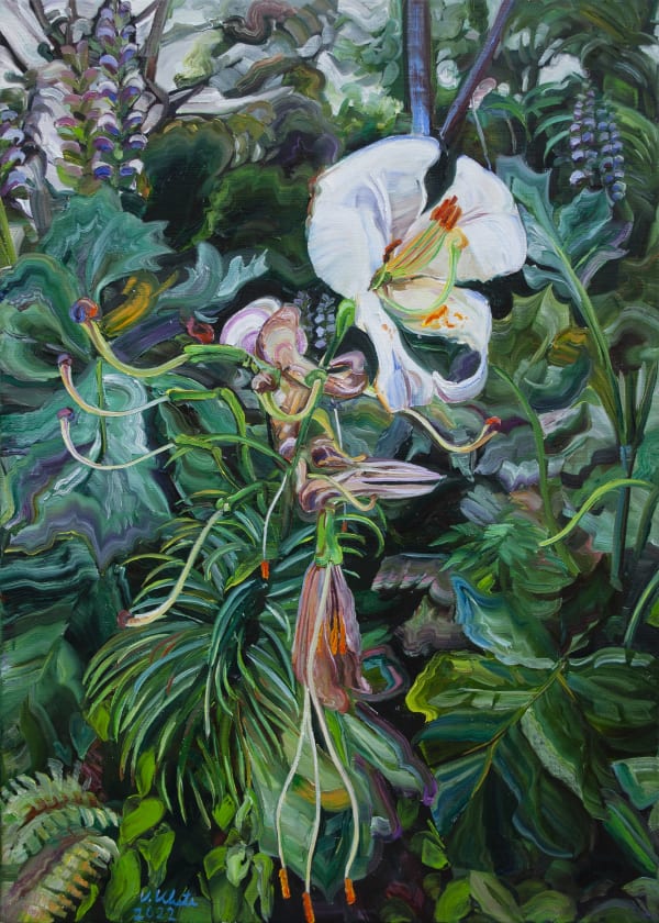Vera Klute Lily Oil on Linen 56 x 40cm