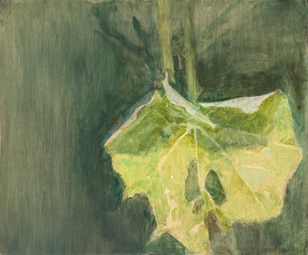 Maeve McCarthy, Leaf study 2, 2022