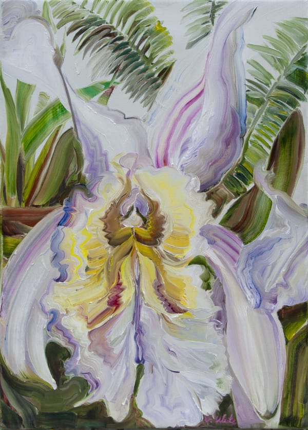 Vera Klute White Orchid Oil on Linen 35.5 x 25.5cm