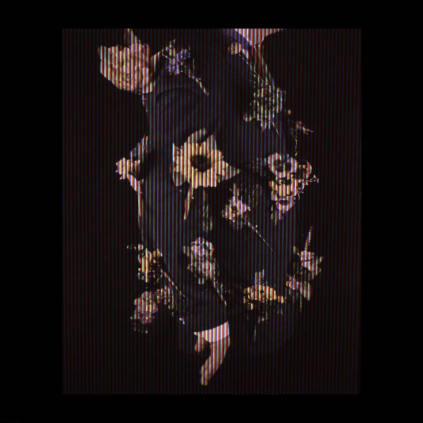 Alan Phelan Sanitary flowers après avant Simon Joly screen photograph, unique 25.3 x 25.3 x 5.5 cm