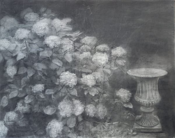 Maeve McCarthy In my mother's garden Charcoal on paper 106 x 135 cm
