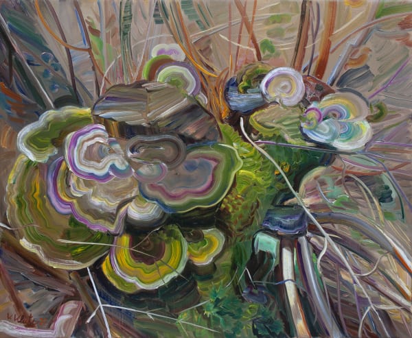 Vera Klute Fungus Oil on Linen 46 x 56cm
