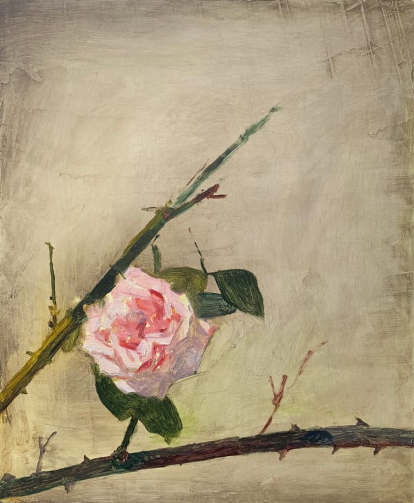 Maeve McCarthy La gloire de Dijon 1, 2020 Oil on board 25 x 19 x 3 cm