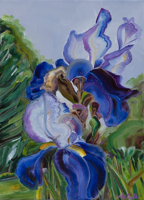 Vera Klute Blue iris Oil on Linen 35.5 x 25.5cm