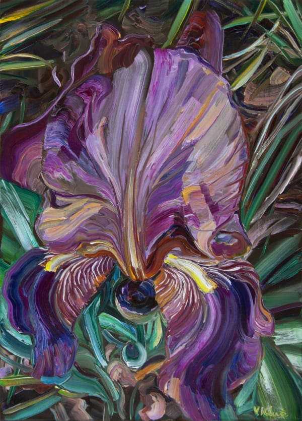 Vera Klute Pink Iris Oil on Linen 35.5 x 25.5cm