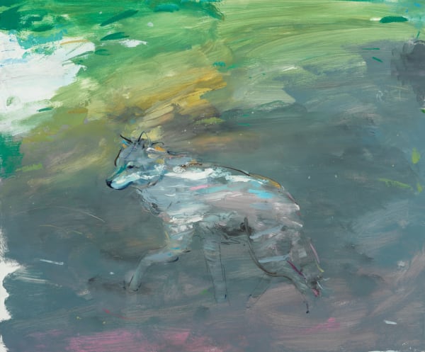 Gabhann Dunne Donegal wolf, 2023 Oil on gesso panel 50 x 60cm