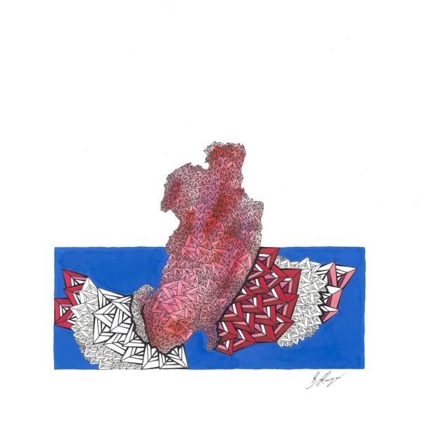 Brendon Marczan Crimson Rosella II Pen & ink on paper 30 x 30 cm