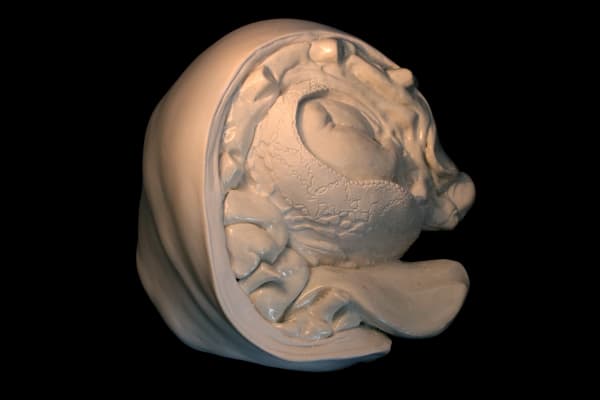 Vera Klute Flesh & blood II Glazed porcelain 18 x 20 x 9cm