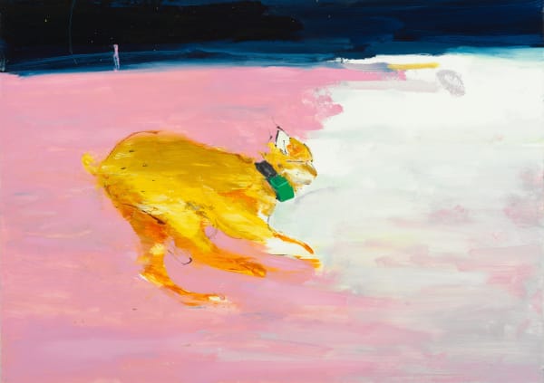 Gabhann Dunne, Radio-collared lynx, Beara Peninsula, 2023