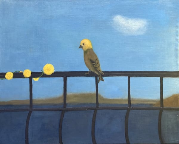 Mollie Douthit Non-breeding females, 2023 Oil on linen panel 41 x 51 cm