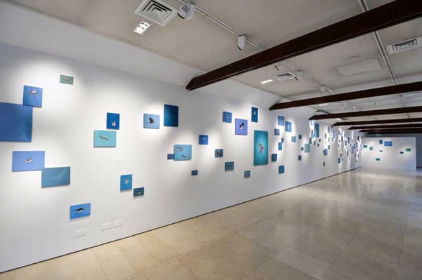 Gabhann Dunne's 'Crossing the salt' at the Farmleigh Gallery