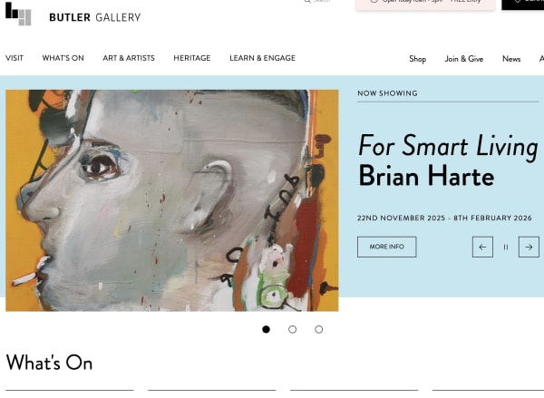 Brian Harte at the Butler Gallery