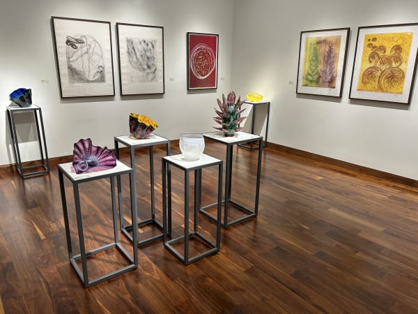 Dale Chihuly Installation Shot1