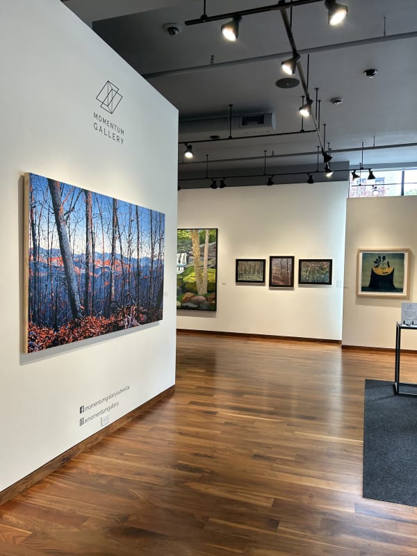 Enchanted Canopy Installation Shot9