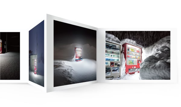 Roadside Lights Seasons: Winter