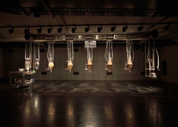 Cloaca Professional 2010