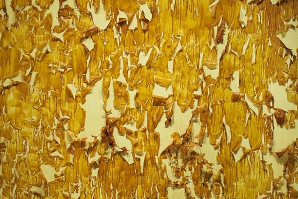 Monanism Blazy Peeling Wall