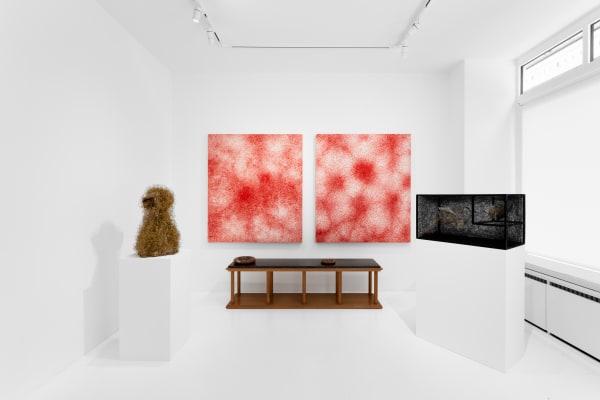 20211111 Oliviervarenne Chiharushiota 00014