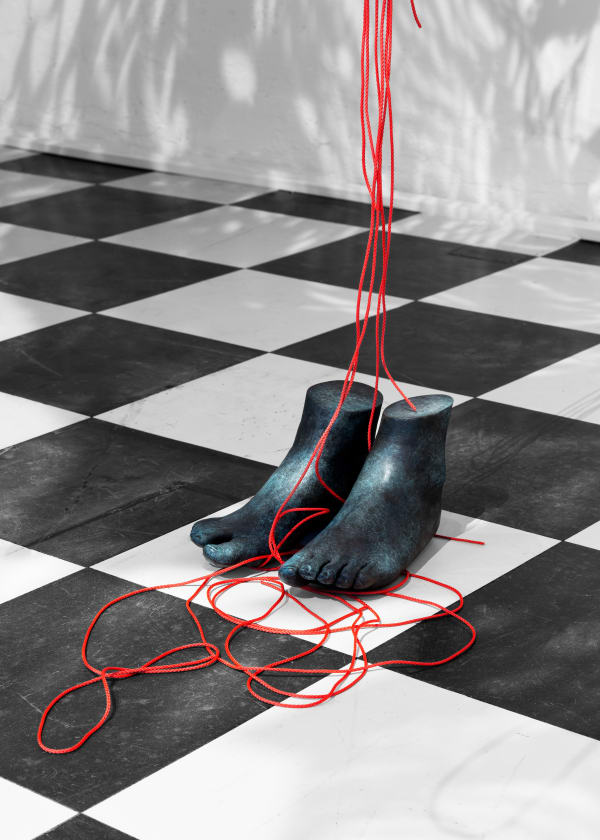 20231126 Oliviervarenne Splendide 014