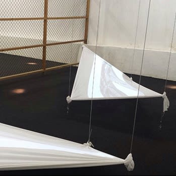 Vito Acconci Dark Mofo Festival, Hobart (Curator Olivier Varenne)