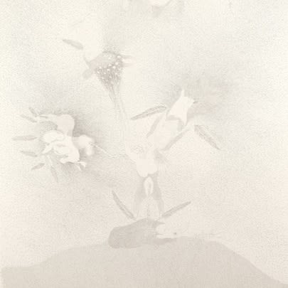 Yannick Demmerle MONA Library, Hobart (Curator Olivier Varenne)