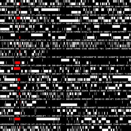 Ryoji Ikeda, Concert Datamatics Susan Philipsz, The Two Sisters MONA FOMA festival, Hobart (Co-Curator Olivier Varenne)
