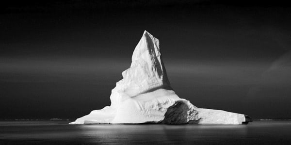 Reflections on the Natural World