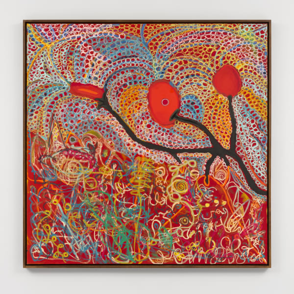 Sumac Tree in Roseboom, 2022-2023