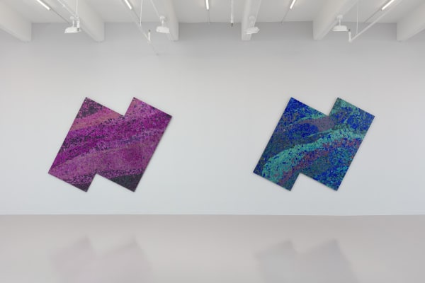 Installation view of Alteronce Gumby: Prince of the Far Rainbow
