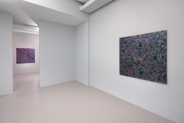 Installation view of Alteronce Gumby: Prince of the Far Rainbow