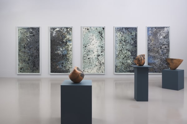 Installation view of Adebunmi Gbadebo: Watch Out for the Ghosts at Nicola Vassell Gallery. Photo: Luis Corzo