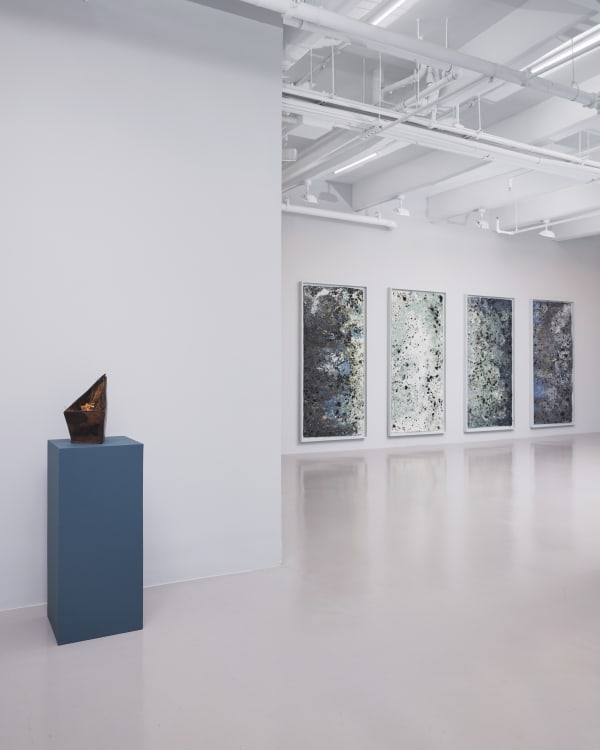 Installation view of Adebunmi Gbadebo: Watch Out for the Ghosts at Nicola Vassell Gallery. Photo: Luis Corzo