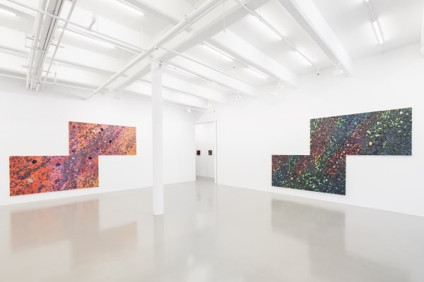 Installation view of The Color of Everything, Photo Credit: Luis Corzo