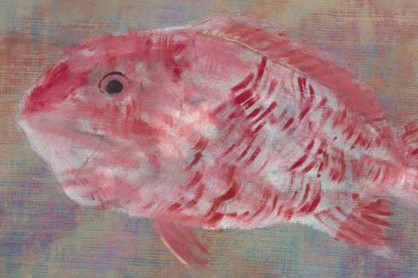 Red Snapper (SP) study, Oct 2023, 2023 (detail); Photo: Lance Brewer.