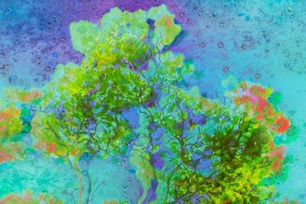 'ELECTRIC REFLECTED'