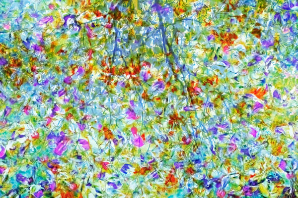 'AUTUMN TRANSITION #04'