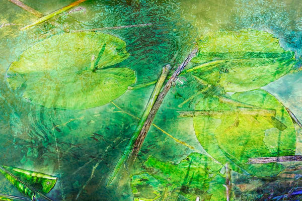 'SCRATCHING THE SURFACE'