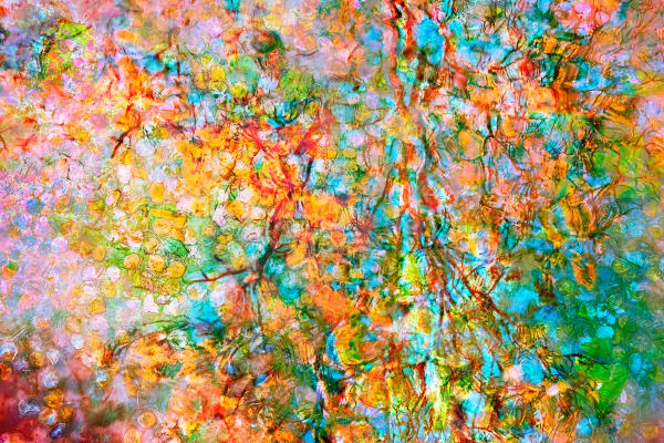 'AUTUMN TRANSITION #02'