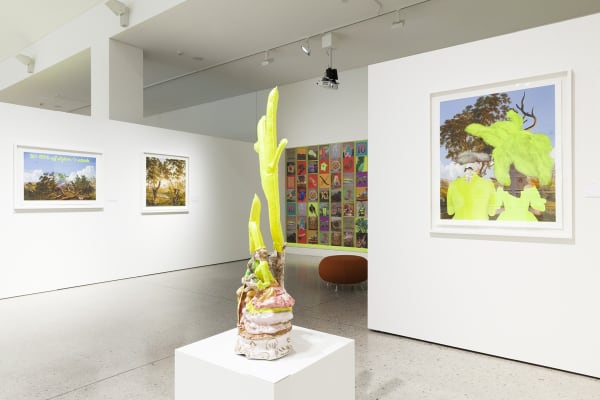 Joan Ross 20 50 Off All Plants And Animals Blue Mountains Cultural Centre Katoomba 1