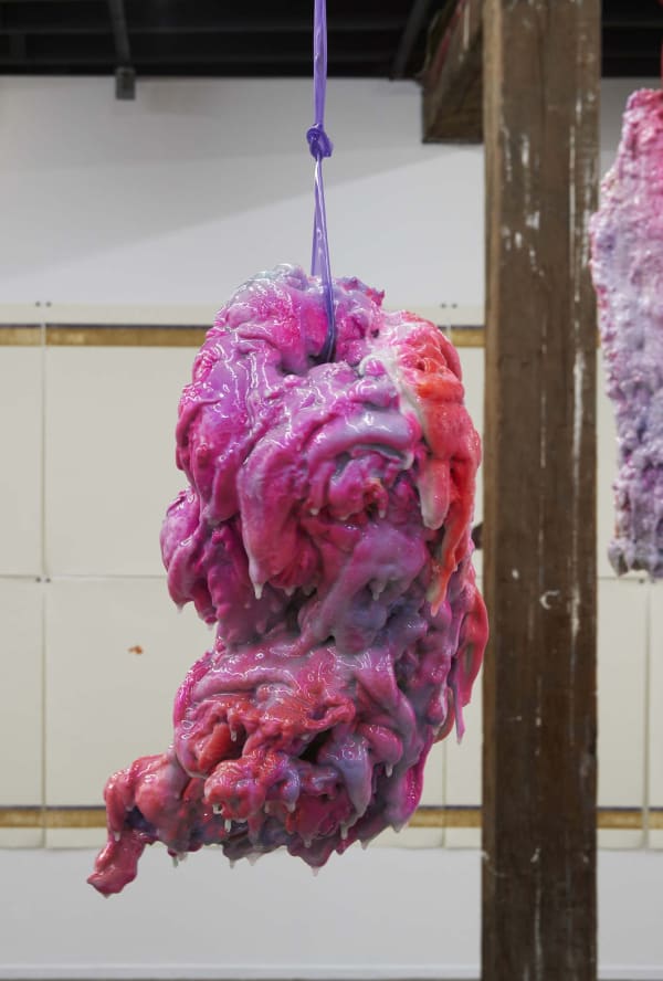 2017Nswvaef 0106 1340 C