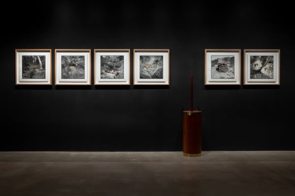 Installation view, ‘James Tylor: Turrangka…in the shadows’, UNSW Galleries, Sydney 2023 Photography: Jacquie Manning