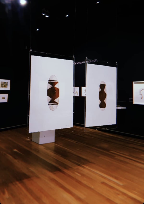 Mooney Mackay Artspace Install