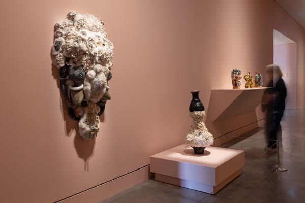 Installation view, 'Mud to Masterpiece', Maitland Regional Art Gallery, NSW 2025