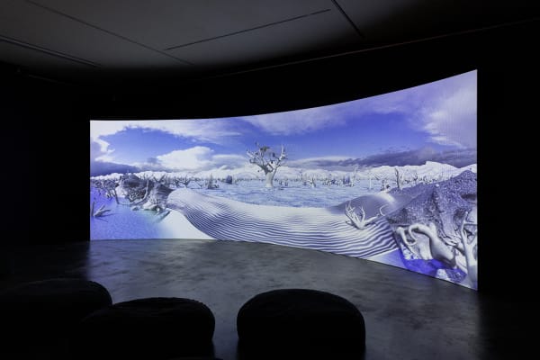 Installation view, 'Mud to Masterpiece', Maitland Regional Art Gallery, NSW 2025